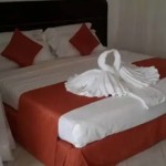 Single Standard Room