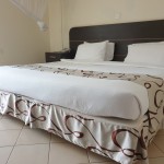 Single Standard Room